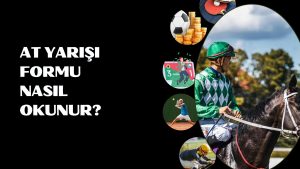 At Yarışı Formu Nasıl Okunur
