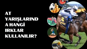 Canlı At Yarışlarında Hangi Irklar Kullanılır